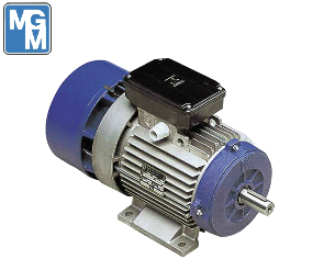 remmotor
